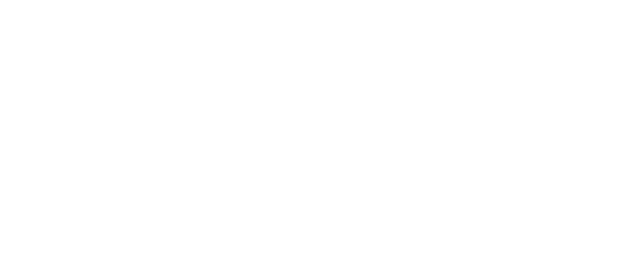 FFG Logo